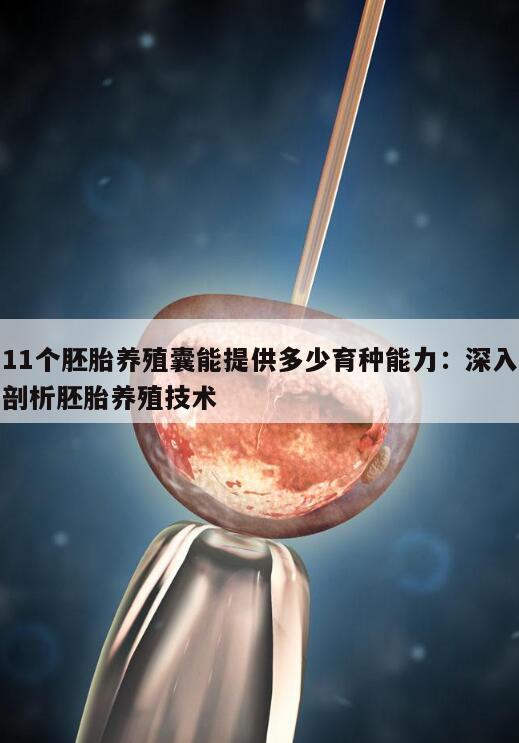 11个胚胎养殖囊能提供多少育种能力:深入剖析胚胎养殖技术