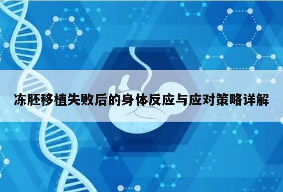 冻胚移植失败后的身体反应与应对策略详解