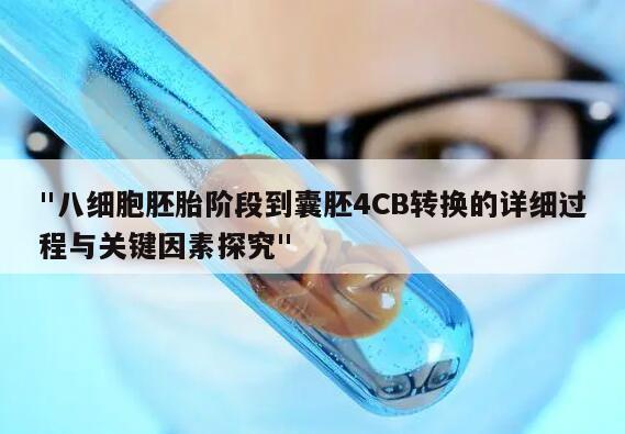 "八细胞胚胎阶段到囊胚4CB转换的详细过程与关键因素探究"