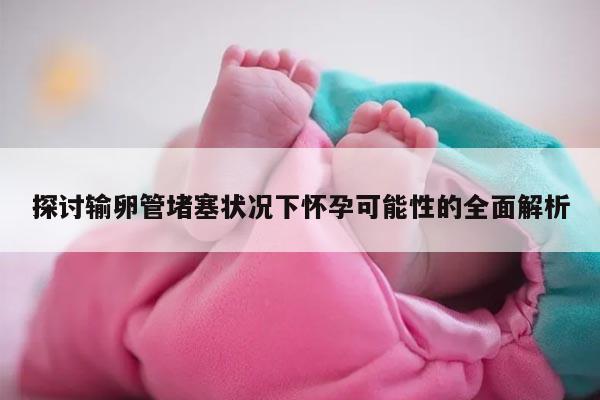 探讨输卵管堵塞状况下怀孕可能性的全面解析