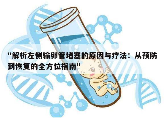 "解析左侧输卵管堵塞的原因与疗法:从预防到恢复的全方位指南"