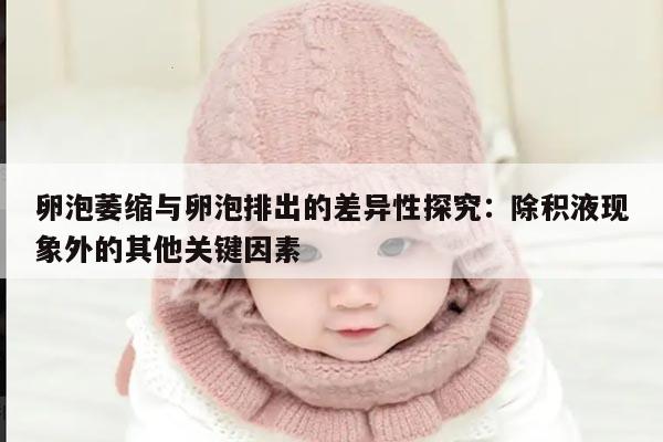卵泡萎缩与卵泡排出的差异性探究:除积液现象外的其他关键因素