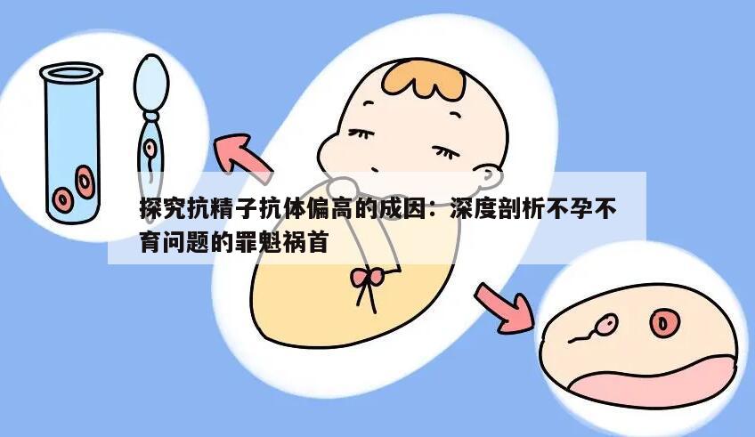 探究抗精子抗体偏高的成因:深度剖析不孕不育问题的罪魁祸首