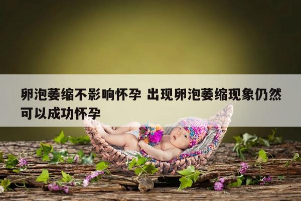 卵泡萎缩不影响怀孕 出现卵泡萎缩现象仍然可以成功怀孕