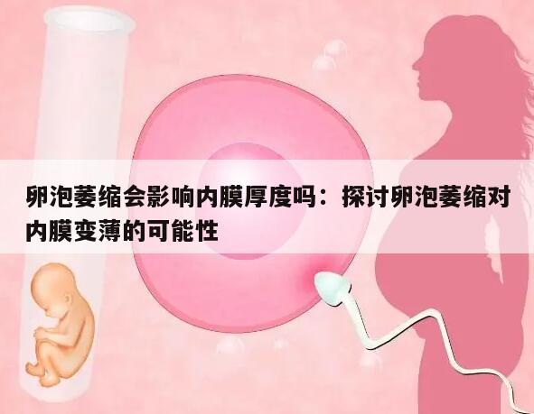 卵泡萎缩会影响内膜厚度吗:探讨卵泡萎缩对内膜变薄的可能性