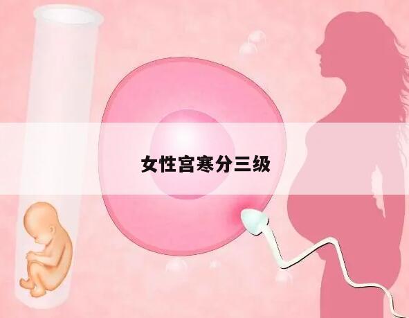 女性宫寒分三级