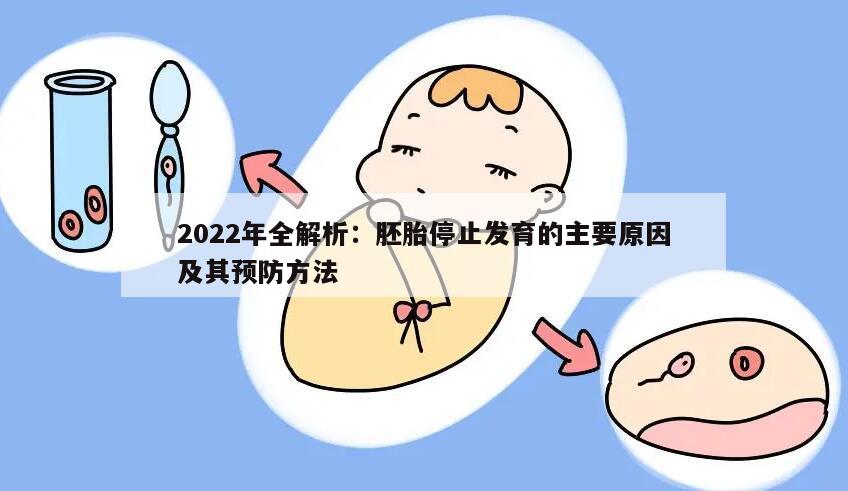 2022年全解析：胚胎停止发育的主要原因及其预防方法