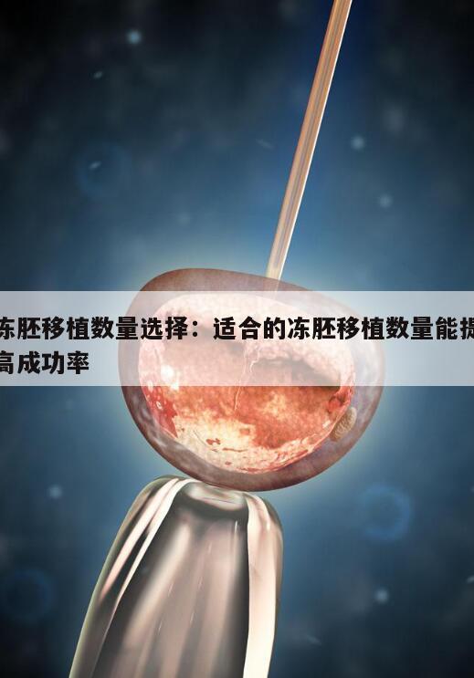 冻胚移植数量选择:适合的冻胚移植数量能提高成功率