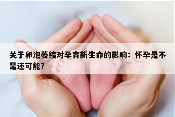 关于卵泡萎缩对孕育新生命的影响:怀孕是不是还可能?