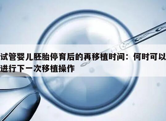 试管婴儿胚胎停育后的再移植时间:何时可以进行下一次移植操作