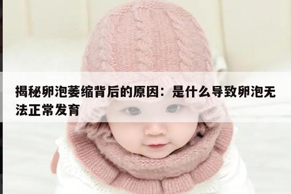 揭秘卵泡萎缩背后的原因:是什么导致卵泡无法正常发育