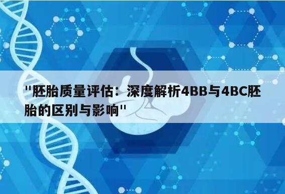 "胚胎质量评估：深度解析4BB与4BC胚胎的区别与影响"