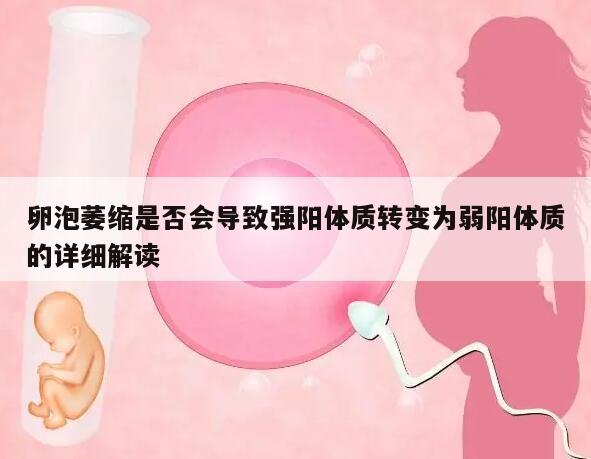卵泡萎缩是否会导致强阳体质转变为弱阳体质的详细解读