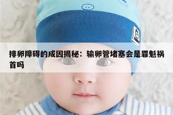 排卵障碍的成因揭秘:输卵管堵塞会是罪魁祸首吗