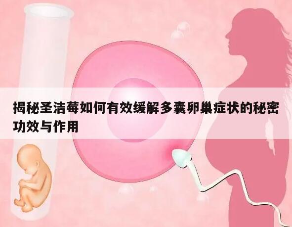 揭秘圣洁莓如何有效缓解多囊卵巢症状的秘密功效与作用