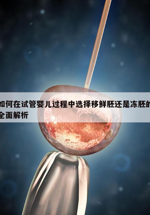 如何在试管婴儿过程中选择移鲜胚还是冻胚的全面解析