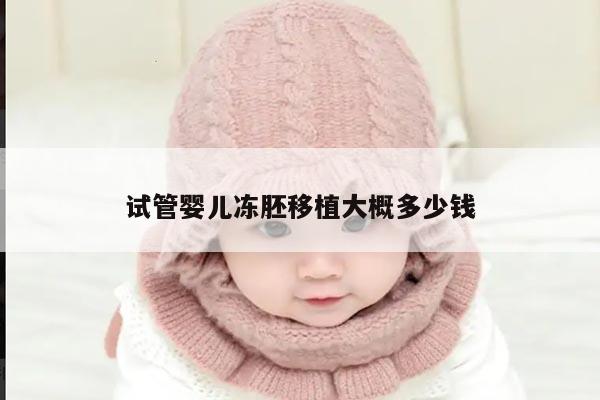 试管婴儿冻胚移植大概多少钱