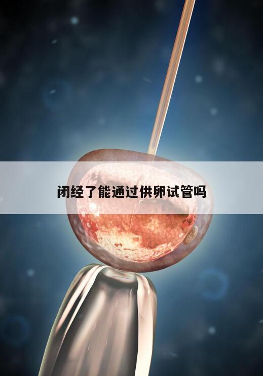 闭经了能通过供卵试管吗