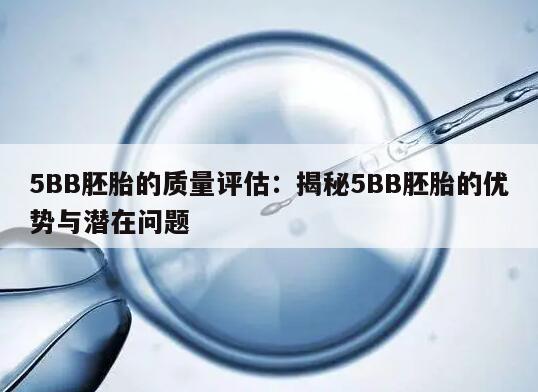 5BB胚胎的质量评估:揭秘5BB胚胎的优势与潜在问题