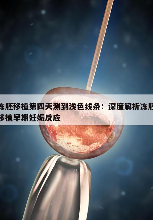 冻胚移植第四天测到浅色线条:深度解析冻胚移植早期妊娠反应