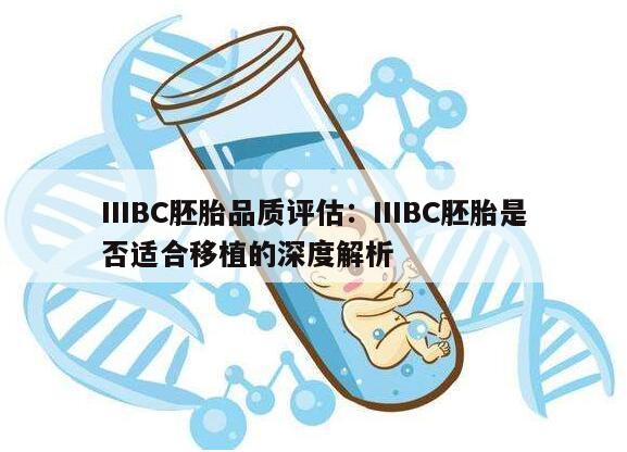 IIIBC胚胎品质评估:IIIBC胚胎是否适合移植的深度解析