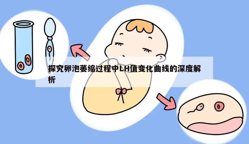 探究卵泡萎缩过程中LH值变化曲线的深度解析
