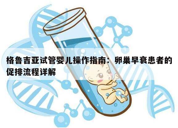 格鲁吉亚试管婴儿操作指南:卵巢早衰患者的促排流程详解