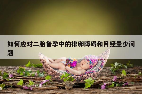如何应对二胎备孕中的排卵障碍和月经量少问题