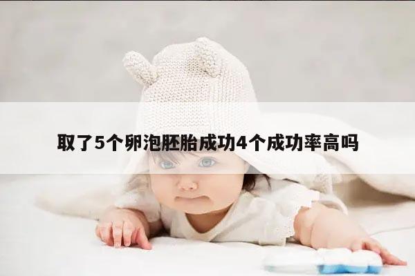 取了5个卵泡胚胎成功4个成功率高吗