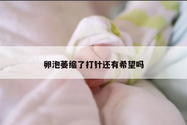 卵泡萎缩了打针还有希望吗