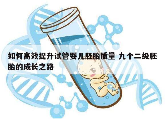 如何高效提升试管婴儿胚胎质量 九个二级胚胎的成长之路