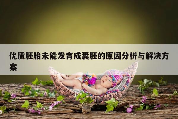 优质胚胎未能发育成囊胚的原因分析与解决方案