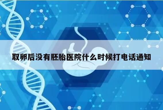 取卵后没有胚胎医院什么时候打电话通知