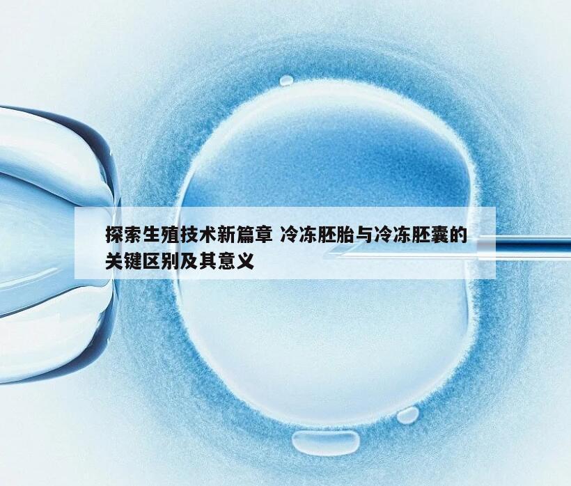 探索生殖技术新篇章 冷冻胚胎与冷冻胚囊的关键区别及其意义