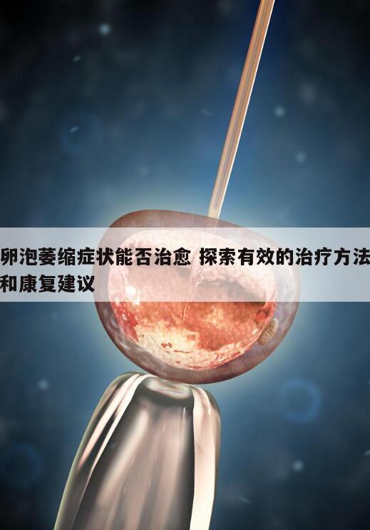 卵泡萎缩症状能否治愈 探索有效的治疗方法和康复建议