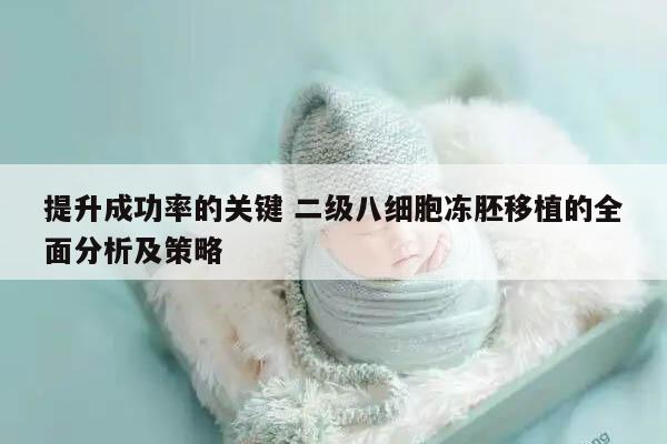 提升成功率的关键 二级八细胞冻胚移植的全面分析及策略