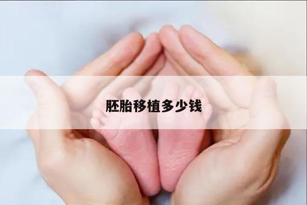 胚胎移植多少钱