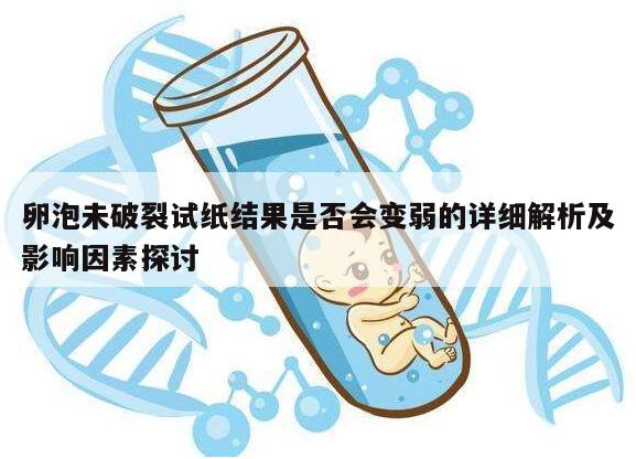 卵泡未破裂试纸结果是否会变弱的详细解析及影响因素探讨