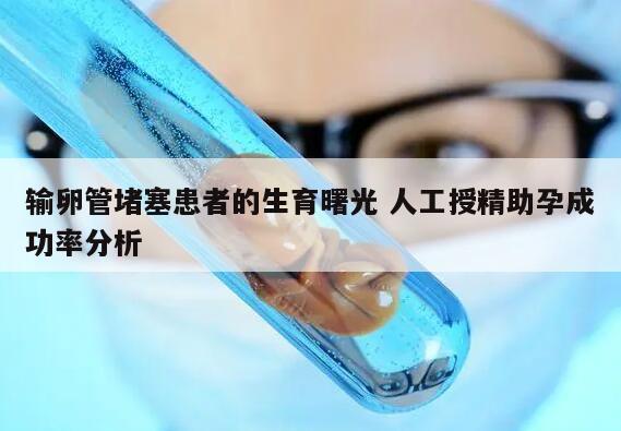 输卵管堵塞患者的生育曙光 人工授精助孕成功率分析