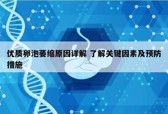 优质卵泡萎缩原因详解 了解关键因素及预防措施