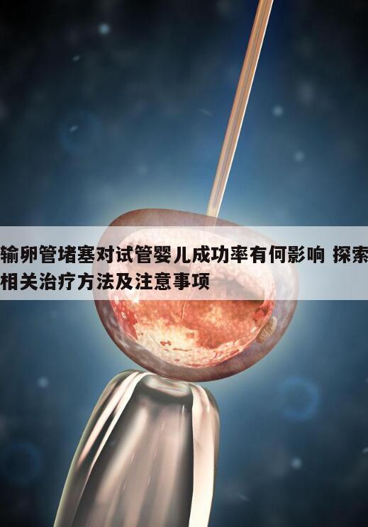 输卵管堵塞对试管婴儿成功率有何影响 探索相关治疗方法及注意事项