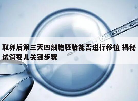 取卵后第三天四细胞胚胎能否进行移植 揭秘试管婴儿关键步骤