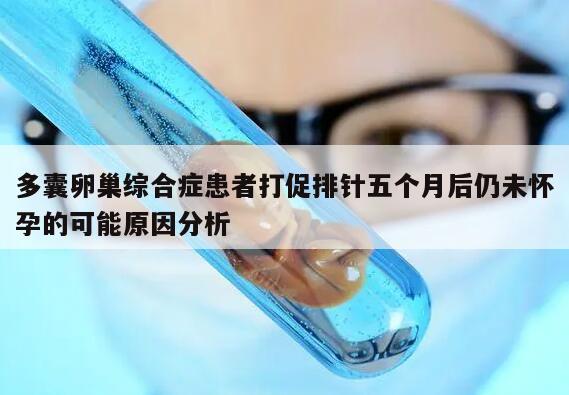 多囊卵巢综合症患者打促排针五个月后仍未怀孕的可能原因分析