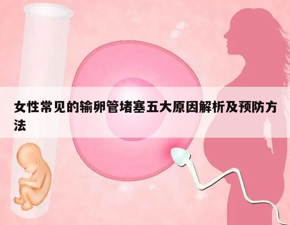 女性常见的输卵管堵塞五大原因解析及预防方法