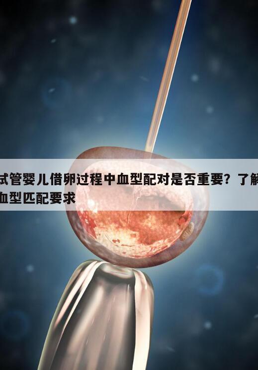 试管婴儿借卵过程中血型配对是否重要?了解血型匹配要求