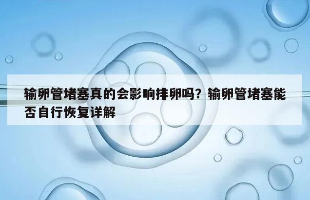 输卵管堵塞真的会影响排卵吗?输卵管堵塞能否自行恢复详解