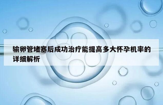 输卵管堵塞后成功治疗能提高多大怀孕机率的详细解析