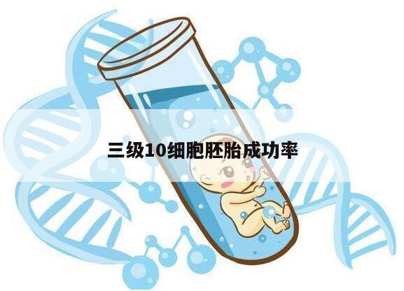 三级10细胞胚胎成功率