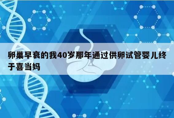 卵巢早衰的我40岁那年通过供卵试管婴儿终于喜当妈