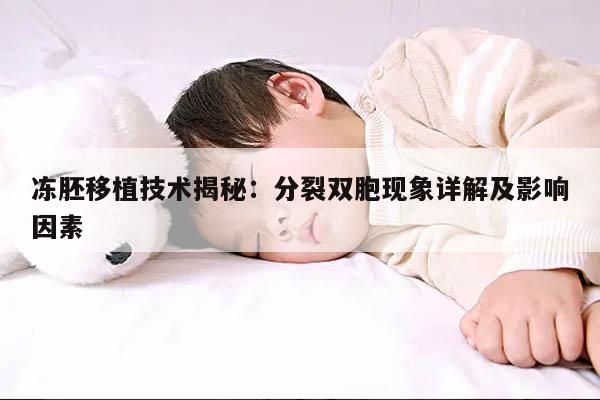 冻胚移植技术揭秘:分裂双胞现象详解及影响因素